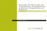 Estudio de Mercado de Arándanos, Frambuesas y Moras ... · límites máximos de residuos (LMR) de plaguicidas en productos de origen vegetal y animal (DO L-70 16/03/2005) - Reglamento