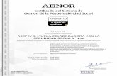 Certificado del Sistema de - asepeyo.es · AENOR INTERNACIONAL S.A.U. Génova, 6. 28004 Madrid. España Tel. 91 432 60 00.- SR-0076-ES AENOR certifica que la organización ASEPEYO,