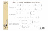 FI001 Spin ½: Formalismo de duas componentes de Paulimaplima/fi001/2012/aula17.pdf · MAPLima 8 FI001 Aula 17 SO(3), SU(2), e Rotações de Euler O que ´e necessario especiﬁcar