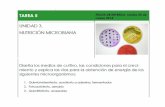 CLASE 10 PruebasBioquimicas de diapos Ruthdepa.fquim.unam.mx/amyd/archivero/10_PruebasBioquimicas... · 2014-03-20 · Producto: Amoníaco. Indicador: Rojo de fenol. La hidrólisis