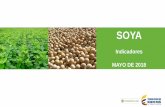 Indicadores MAYO DE 2018 - minagricultura.gov.co... · •El principal uso de la soya es la producción de torta de soya utilizada en la fabricación de alimentos balanceados. •Estados
