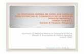LA PROPIEDAD MINERA EN CHILE. LOS CAMBIOS PARA … La propiedad... · 2014-06-02 · contratos preparatorios a los contratos de promesa y de opción de compra. La legislación les