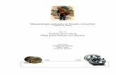 Análisis de producto Reel para Pesca con Moscaamosca.info/pdf/metodologia-aplicada-diseno-industrial.pdf · método de pesca. Con Walton, la pesca evolucionó hacia un arte, y además