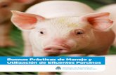 Buenas Prácticas de Manejo y Utilización de …...BUEnAs PrÁcticAs dE MAnEjo y UtilizAción dE EflUEntEs Porcinos 10 3. impactos ambientales de la producción porcina La producción