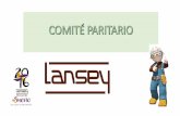 Qué es el Comité Paritario de Higiene y Seguridad - Recamierintranet.lansey.com/wp-content/uploads/2016/10/comite_paritario.pdf · Qué es el Comité Paritario de Higiene y Seguridad