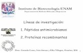 Líneas de investigación: 1. Péptidos antimicrobianos 2 ... · Productos de las líneas de investigación 8 1. Péptidos antimicrobianos 14 Artículos internacionales y 5 patentes