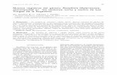 Nuevos registros del género Rosellinia (Xylariaceae ...lillo.org.ar/revis/lilloa/2014-51-1/v51n1a10.pdftina”. Lilloa 51 (1). El estudio del genero Rosellinia bajo las técnicas