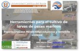 Herramientas para el cultivo de larvas de peces marinoslarvaplus.org/wp-content/uploads/6.-Charla-Marcia... · Investigación y Desarrollo de una tecnología base de cultivo, para