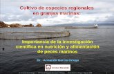 Cultivo de especies regionales en granjas marinas2006-2012.conacyt.gob.mx/Becas/feria/Documents/Nutricion... · 2010-07-28 · Cultivo de especies regionales. en granjas marinas: