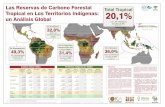 Las Reservas de Carbono Forestal Total Tropical Tropical ...de los territorios indígenas (TI) y de las áreas naturales protegidas (ANP) a escala global. Los resultados de un nuevo