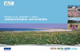 Natura 2000 i det atlantiske områdeec.europa.eu/environment/nature/info/pubs/docs/biogeos/Atlantic/KH7809636DAC_002.pdfmuslinger og ﬁ sk til søfugle og pattedyr øverst i fødekæden.