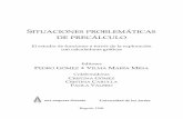 SITUACIONES PROBLEMÁTICAS DE PRECÁLCULOfunes.uniandes.edu.co/669/1/Gomez1998Situaciones.pdf · SITUACIONES PROBLEMÁTICAS DE PRECÁLCULO El estudio de funciones a través de la