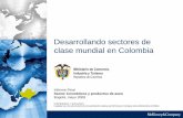 Desarrollando sectores de clase mundial en Colombia...Desarrollando sectores de clase mundial en Colombia Bogotá, mayo 2009 Informe Final Sector Cosméticos y productos de aseo Ministerio