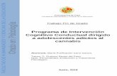 Programa de Intervención Cognitivo Conductual dirigido a …tauja.ujaen.es/bitstream/10953.1/9789/1/TFG__Mara_Purificacin__Cano... · Español de las Drogas y las Adicciones, 2017,