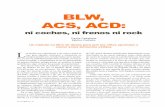 BLW, ACS, ACD · con la palabra destete, y así se ha transmitido a toda la literatura que ha aparecido en estos últimos años. En algunas publicaciones se pueden encontrar términos