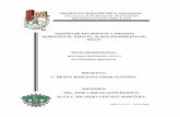 INSTITUTO POLITÉCNICO NACIONAL ESCUELA SUPERIOR DE …tesis.ipn.mx/jspui/bitstream/123456789/448/1/TESIS... · 2017-12-14 · instituto politÉcnico nacional escuela superior de