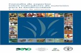 Consulta de expertos sobre indicadores de nutrición para ... · alimentos. La elaboración de indicadores, instrumentos y metodologías para medir y supervisar la composición de
