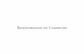 Biodiversidad en Campeche - Universidad Autónoma de Campecheetzna.uacam.mx/epomex/publicaciones/biodiversidad/Biodiversidad1... · geológica y tectónica de la Península está