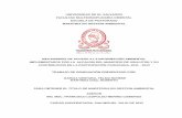 UNIVERSIDAD DE EL SALVADOR FACULTAD …ri.ues.edu.sv/17245/1/50107800.pdf · 2018-07-16 · universidad de el salvador facultad multidisciplinaria oriental escuela de postgrado maestria