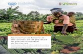 Un informe de la Interfaz Ciencia-Política · 2019-10-23 · naturales, que sustenta toda la vida en la Tierra; hace crecer los alimentos, crea trabajos, reduce la pobreza, mantiene
