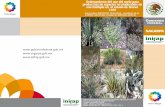 Ordenamiento del uso del suelo para producción de …Guillermo MEDINA GARCIA3 INTRODUCCION En términos generales, en las regiones áridas y semiáridas del estado de Nuevo León,