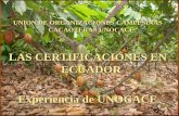 LAS CERTIFICACIONES EN ECUADOR Experiencia de UNOCACEReencauche de neumáticos . Organismos de Certificación para operadores orgánicos ...