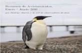 Resumen de Avistamientos, Enero — Junio 2016...Resumen de Avistamientos, Enero — Junio 2016 por Rodrigo Barros y la red de observadores de aves N 22, Marzo 2017 La Chiricoca Página