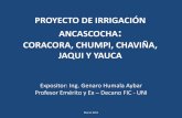 PROYECTO DE IRRIGACIÓN ANCASCOCHA: …intranet.cip.org.pe/imagenes/ppts/irrigacionAncascocha...proyecto integral de irrigación de las campiñas Coracora, Chumpi, Chaviña, Jaqui