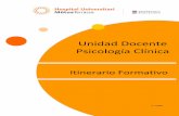 Unidad Docente Psicología Clínica U Itinerario Formativo · 2019-03-29 · psicopatología mediante instrumentos de medida disponibles (SCID I, SCID II, WAIS III, Millon III, TCI,