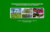 Caracterización química de fibras de plantas herbáceas ... theses/2006-Thesis-Isa-Rodriguez.pdfLas fibras de lino y cáñamo son las que presentan un menor contenido en lignina