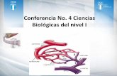 Conferencia No. 4 Ciencias Biológicas del nivel Ientrenadormovil.cog.org.gt/sites/default/files/documentos/academianacional/2017/nivel1/...La hematosis es el intercambio de gases