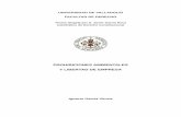 PROHIBICIONES AMBIENTALES Y LIBERTAD DE EMPRESAeprints.ucm.es/11356/1/Tesinacompleta.pdf · explicada: los límites a la libertad de empresa en el marco de la economía de mercado