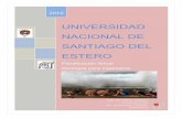 UNIVERSIDAD NACIONAL DE SANTIAGO DEL ESTERO · Lectura e interpretación de mapas, cartas y perfiles temáticos de uso frecuente en ingeniería, para mejor expresar las caracterís