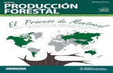 JULIO 2015 - Argentina.gob.ar · 2016-09-14 · Técnico para el Manejo Forestal Sostenible, coordinado por la Dirección de Producción Forestal (DPF). Los Criterios e Indicadores