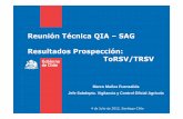 Reunión Técnica QIA –SAG Resultados Prospección: …Reunión Técnica QIA –SAG Resultados Prospección: ToRSV/TRSV 4 de Julio de 2012, Santiago-Chile Marco Muñoz Fuenzalida