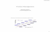 Product Management Ricardo Colusso rcolusso@gmailmaterias.fi.uba.ar/7546/material/ProductManagementUBA... · 2009-04-11 · necesidades y preferencias de un tipo determinado de usuario