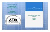 Universidad Autónoma Metropolitana - Iniciosgpwe.izt.uam.mx/files/users/uami/ifig/Evaluac... · 2014-11-21 · indicadores. El desarrollo y construcción de indicadores adecuados