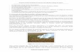 El inadecuado manejo hídrico del territorio. El manejo ...repositorio.geotech.cu/jspui/bitstream/1234/1541/5/Reserva de la Biosfera_77-109.pdf“Propuesta de Plan de Manejo de la