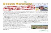 Bodega Marañones スペイン/ヴィノス・デ・マド …Bodega Marañones 自信を持ってご紹介させて頂く、スペインワイン。2012年のVini Japonでも来日しましたので彼(フェルナンド・ガルシア)に直接会った方も大勢いらっ