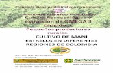 social Objeto: CREACION DE PEQUEÑAS …campesinos de la Región Amazónica peruana como “Sacha Inchi, Maní del Monte, Maní del Inca, Frijol Amazónico” y en la Amazonía colombo