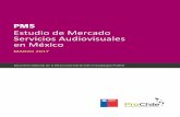 Estudio de Mercado Servicios Audiovisuales en México...Estudio de mercado / Servicios Audiovisuales en México – Año 2017 cadena de valor “en la categoría de otros servicios