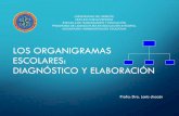 Los Organigramas Escolares: Diagnóstico y Elaboración · •Son organigramas específicos, los cuales suministran una información detallada; incluso, se complementan con informaciones