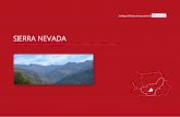 SIERRA NEVADA - Iniciopaisajeyterritorio.es/assets/sierra-nevada.pdf · integran en la unidad del centro regional de Granada, dada la cercanía con la capital provincial y forman