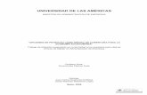 UNIVERSIDAD DE LAS AMÉRICASdspace.udla.edu.ec/jspui/bitstream/33000/1830/4/UDLA-EC-TMAEF-2009-03.pdf · Determinar las ventajas y desventajas de un esquema de cobertura de ... cuando
