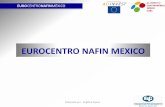 EUROCENTRO NAFIN MEXICO · • Dirección ejecutiva Susana Duque Roquero sduque@nafin.gob.mx • Coordinaciones Sectoriales Angélica Espina Tozcano Agroindustria / Artesanía, Artículos