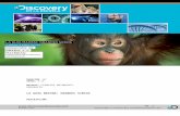 discoveryenlaescuela.comdiscoveryenlaescuela.com/.../uploads/2017/06/06simios.docx · Web viewLos restos _____ de los antiguos parientes de los grandes simios muestran que algunos
