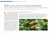 Efecto bioestimulante · bioestimulante se analizó la respuesta sobre diferentes parámetros fisiológicos de plantas de cítricos. Desarrollo experimental y parámetros analizados