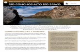 06 desierto chihuahuense río conchos-alto río Bravoawsassets.panda.org/downloads/fs06_dch_conchos_bravo.pdf · hectáreas, la mayor extensión de hábitat no fragmentado en el Desierto