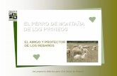 EL PERRO DE MONTAÑA DE LOS PIRINEOSinstitutopirenaico.org/educacion/cuadernos/CUADERNO CICLO INICIAL DE PRIMARIA.pdfdelante con los perros de carea, en cambio los perros de Montaña