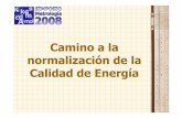 Camino a la normalización de la Calidad de Energía · 2008-12-10 · •• ELECTRICIDAD ELECTRICIDAD Insumo vital e importante para el proceso productivo. CLIENTES Camino a la
